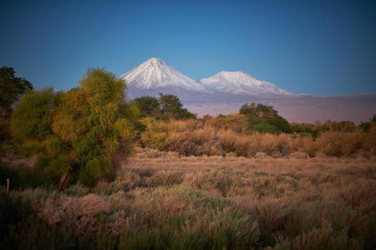 Casa Chincol Guest House San Pedro de Atacama Luaran gambar