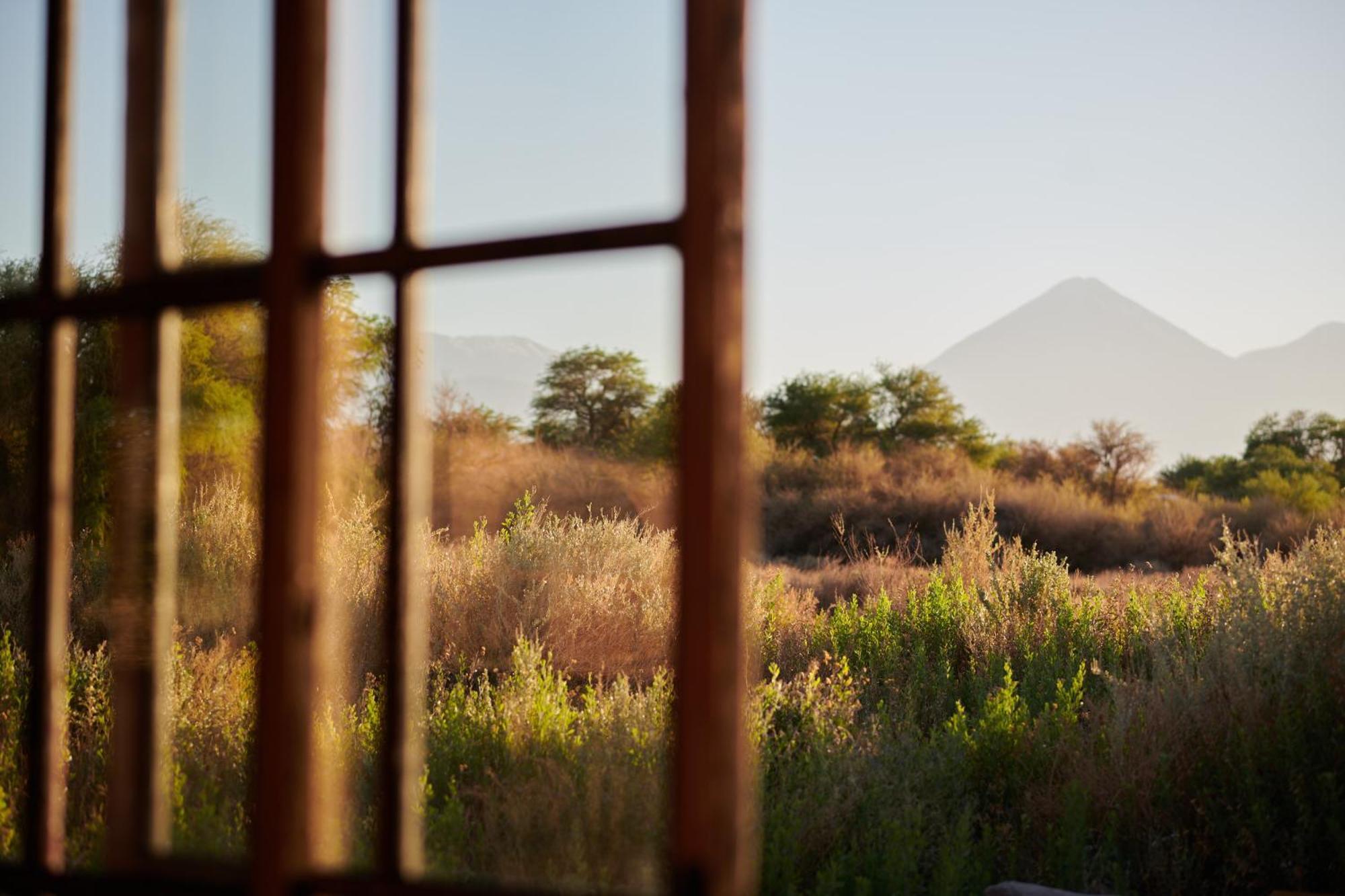 Casa Chincol Guest House San Pedro de Atacama Luaran gambar
